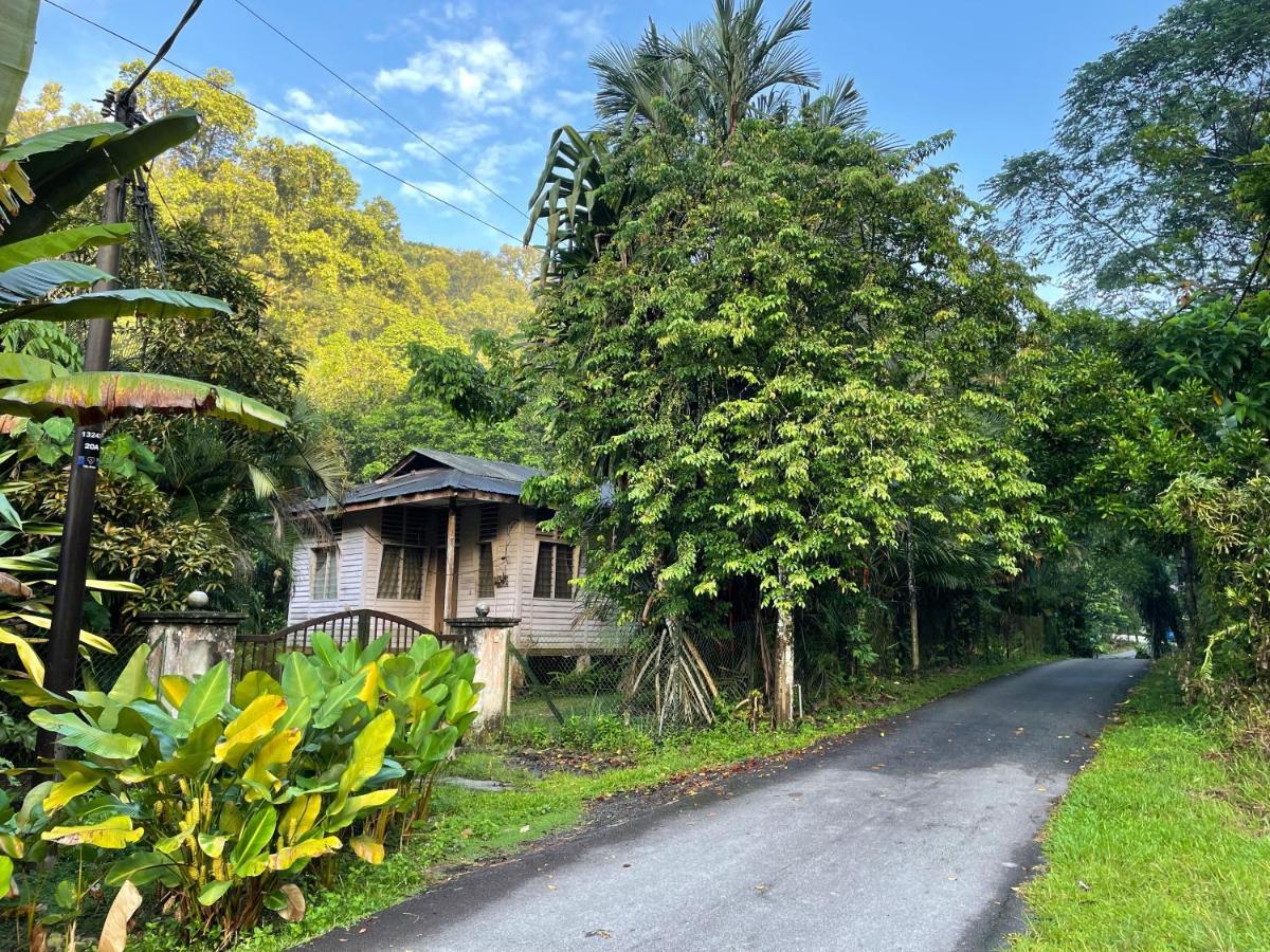 Villa Purimai Jungle House In The Heart Of