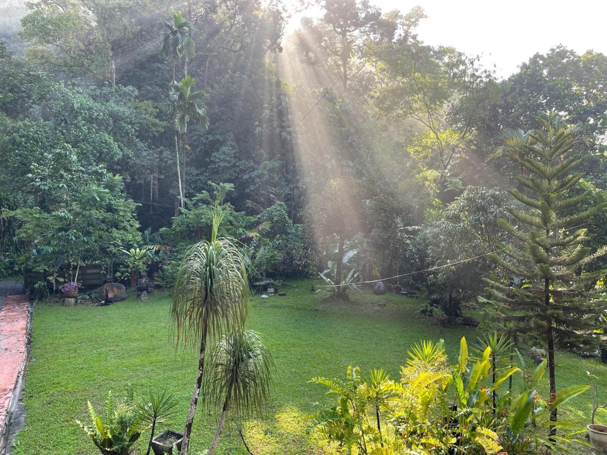 Purimai Jungle House In The Heart Of Villa Kuala Lumpur
