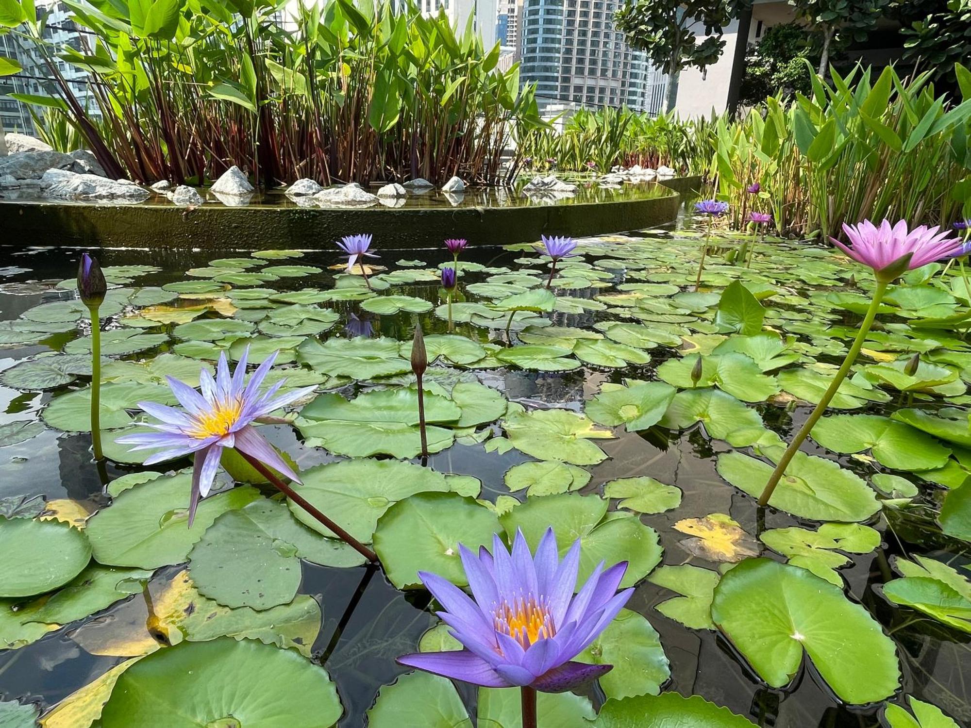 Axon Pavilion * Kuala Lumpur