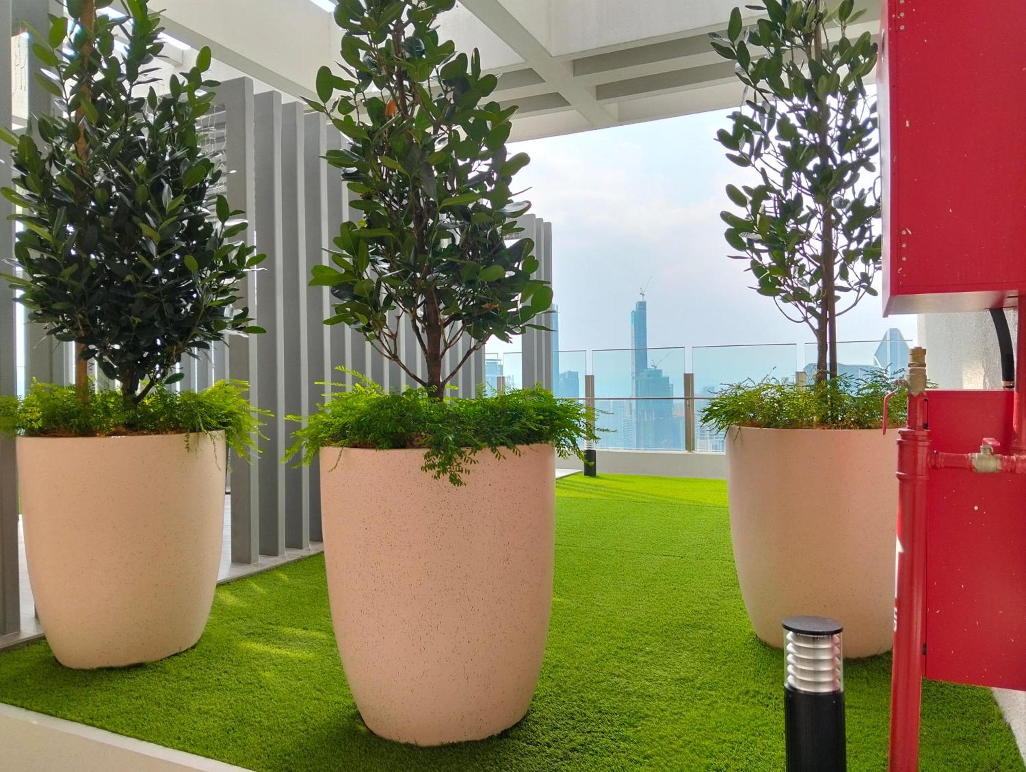 Sky Garden Luxy At Agile Bukit Bintang Apartemen *