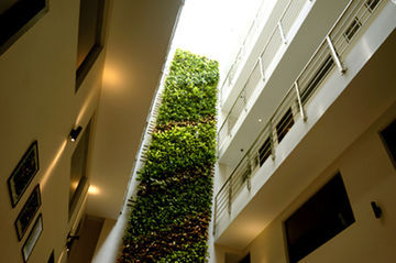 Hotel The Mesui Bukit Bintang 4*