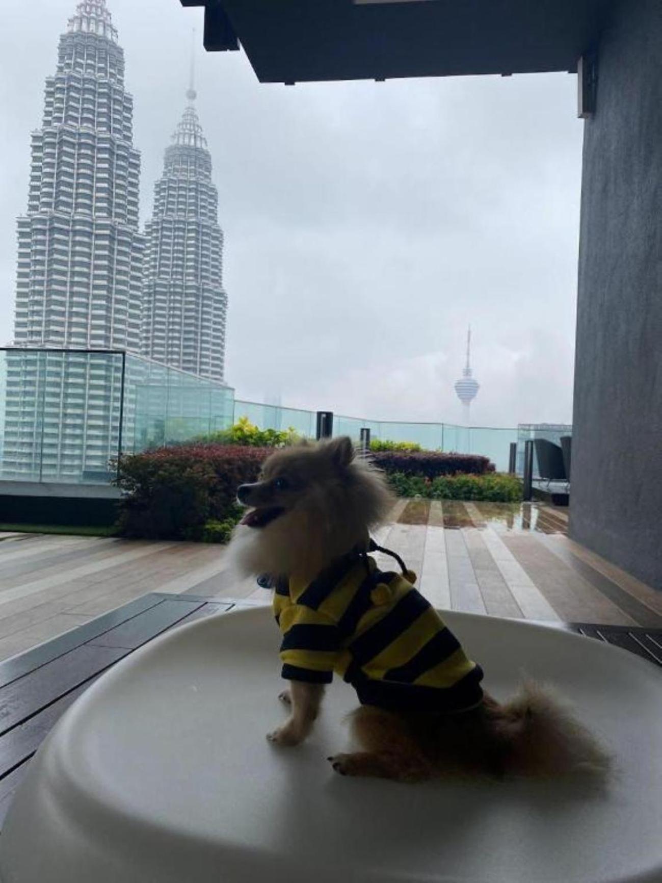 Klcc Star By Classy * Kuala Lumpur