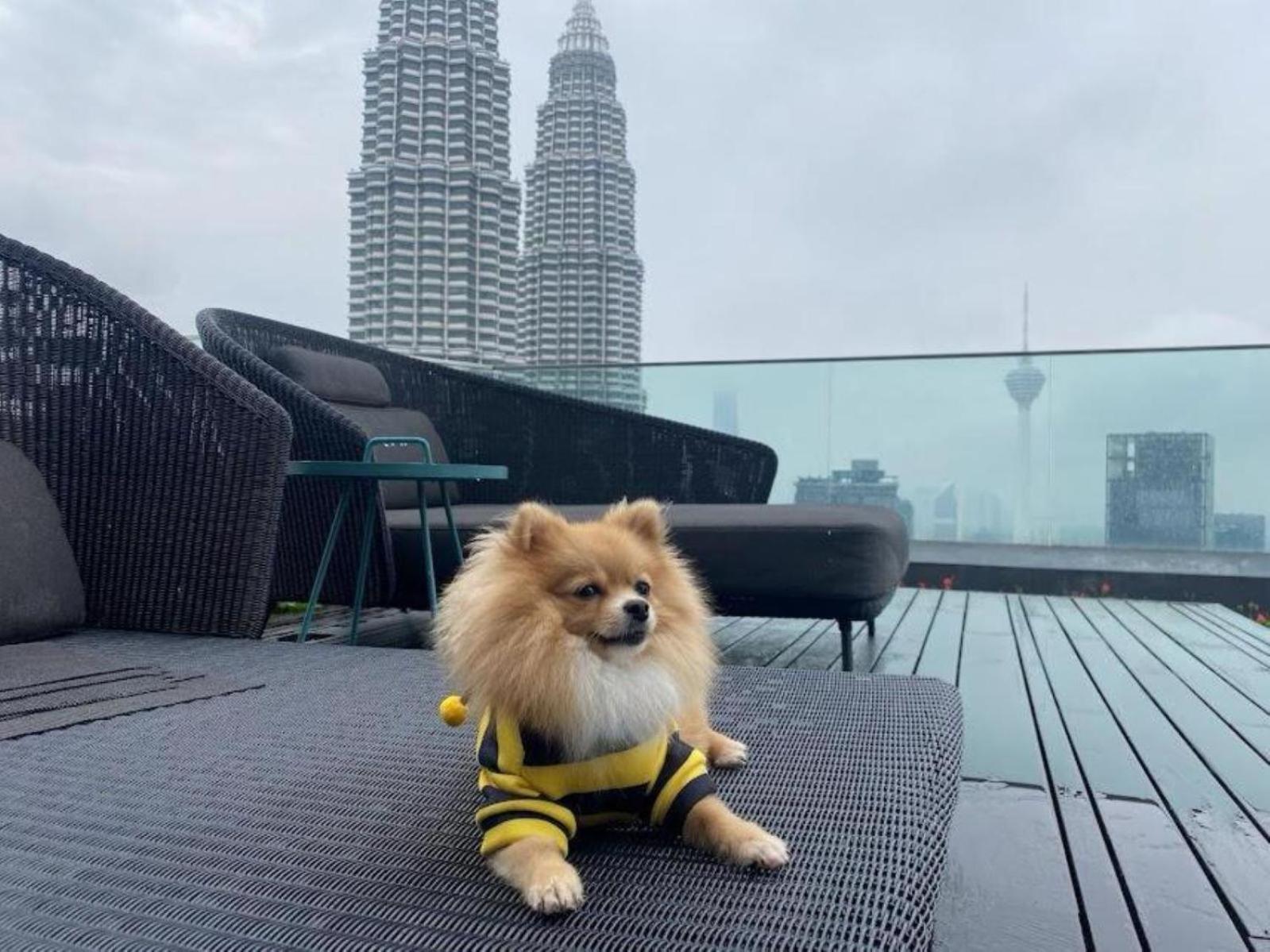 Klcc Star By Classy Apartment Kuala Lumpur
