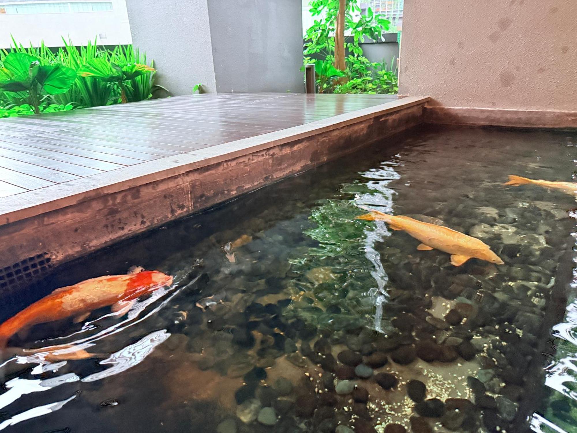 Rooftop Pool Klcc Star Residence Apartment
