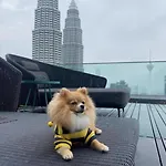 Star Klcc Serviced Apartment