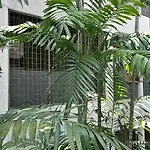 The Garden Apartment At Bangsar