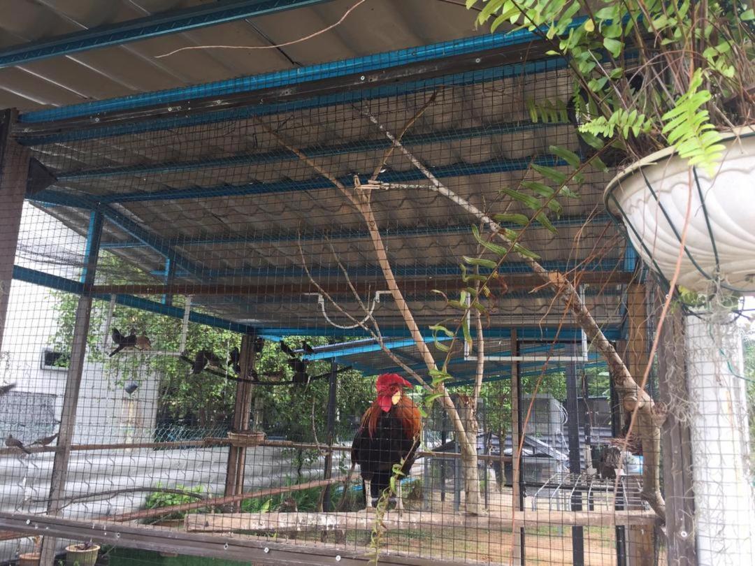 Zanas D'klia Kuala Lumpur