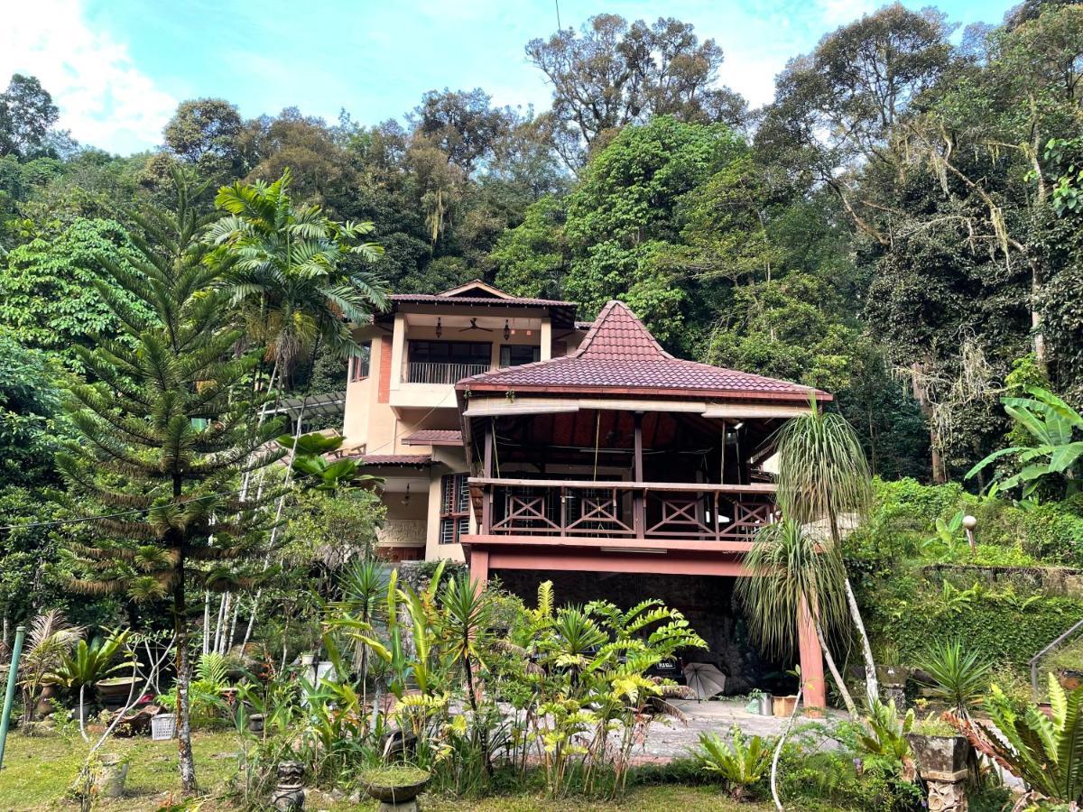 Purimai Jungle House In The Heart Of