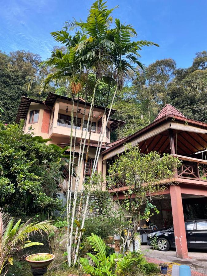Purimai Jungle House In The Heart Of *