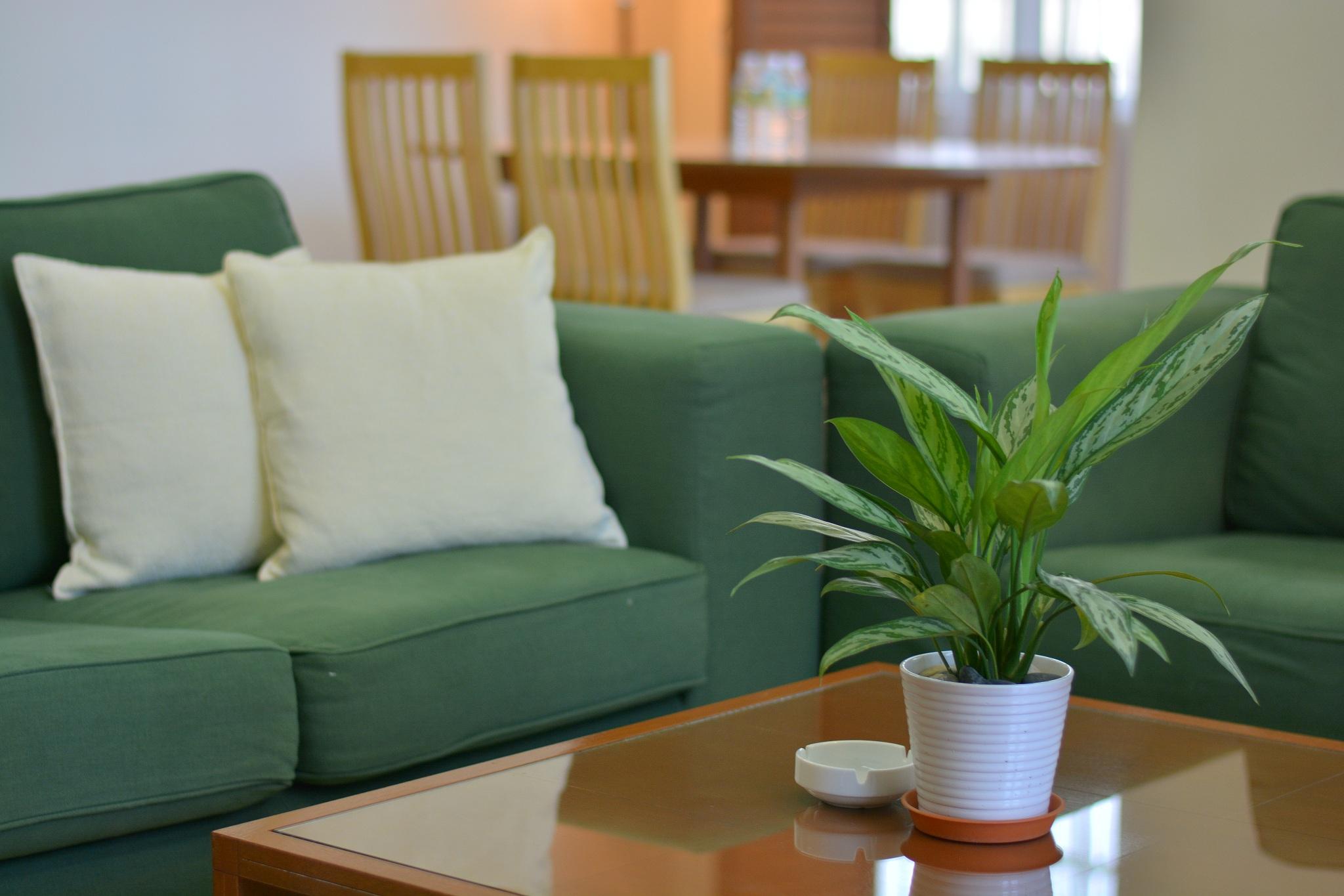 Aparthotel The Maple