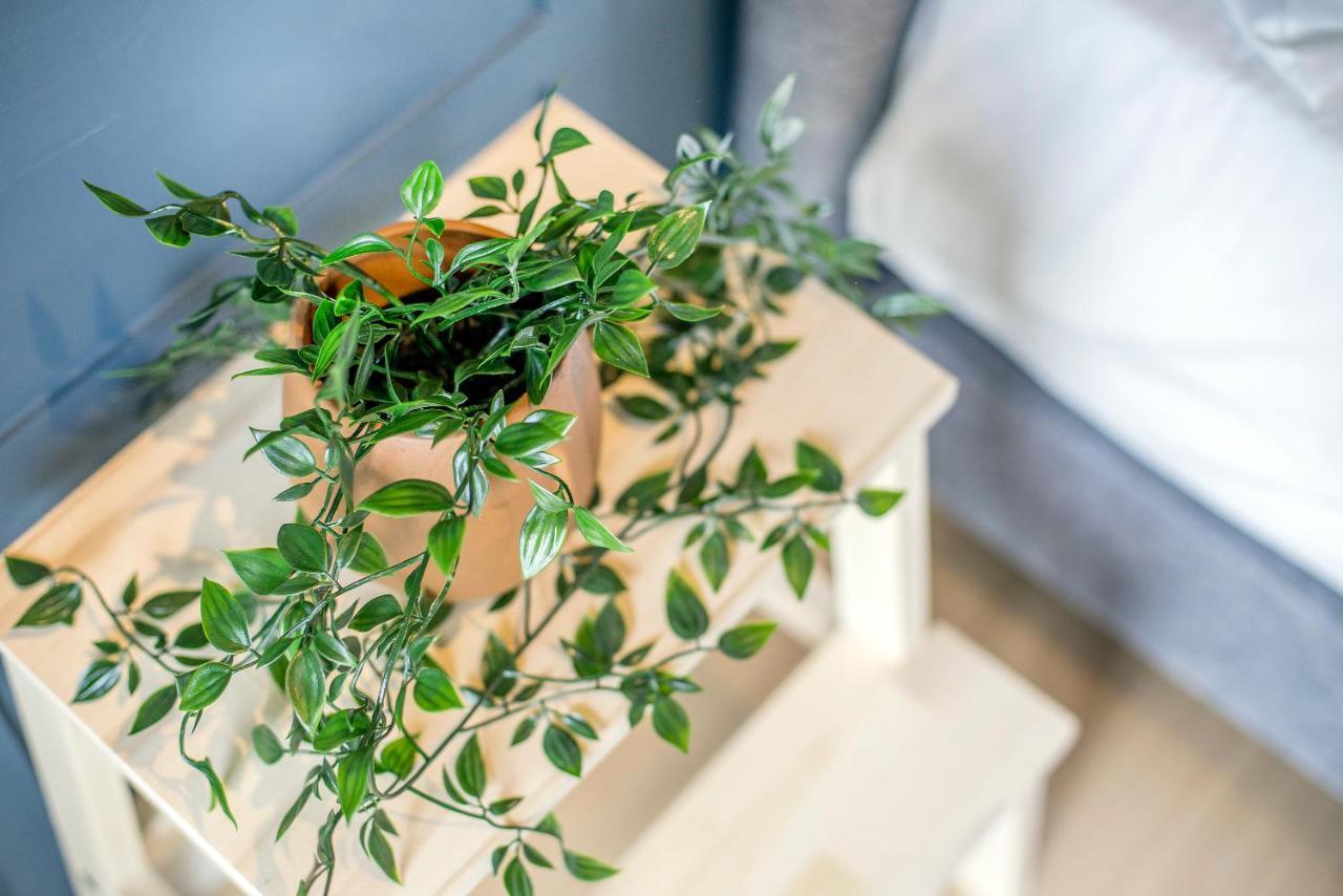 Căn hộ Continew Kl Cobnb *