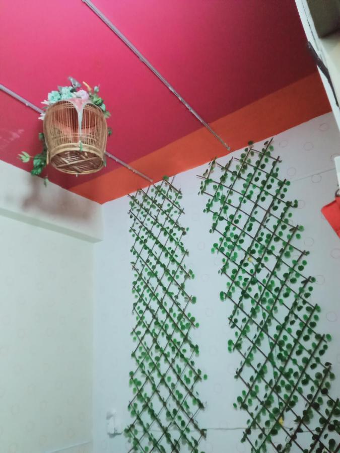 Birdnest Guesthouse, Gaia Rooftop Cafe Hostel *