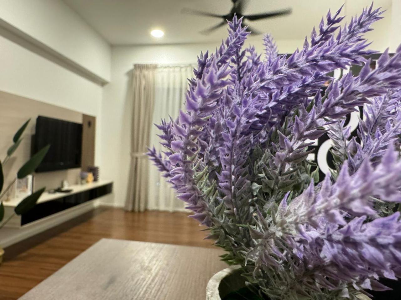 Serviced Apartment, Jalan Peel By Rverse Apartment *