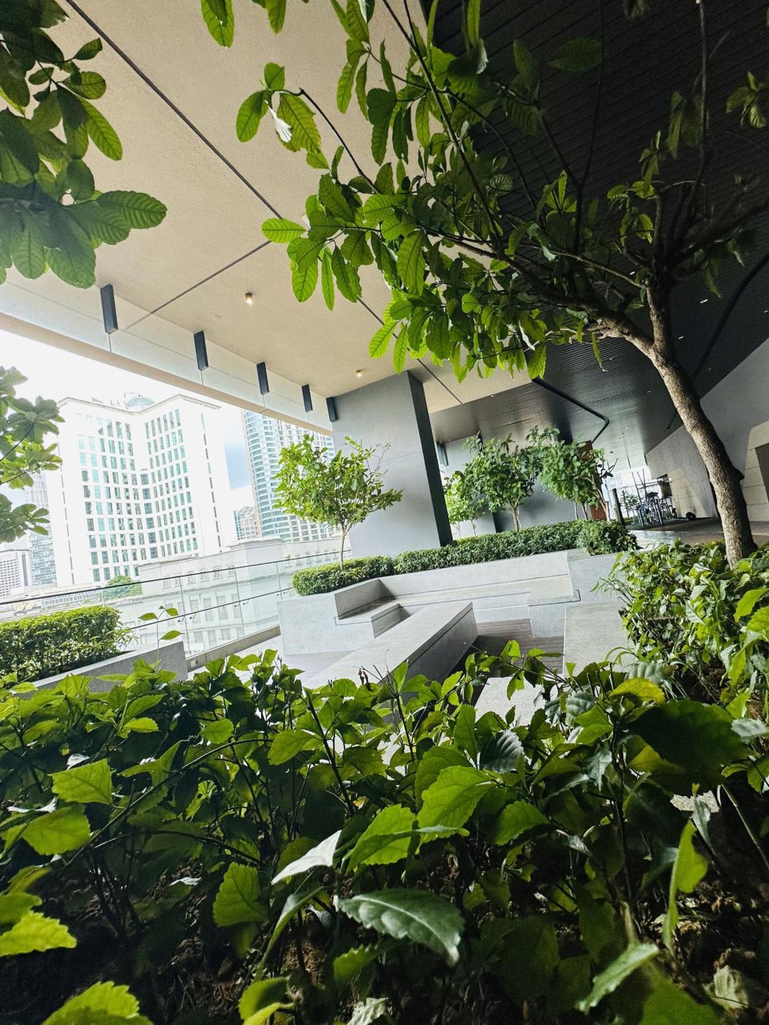 Axon By Pavilion Forest *