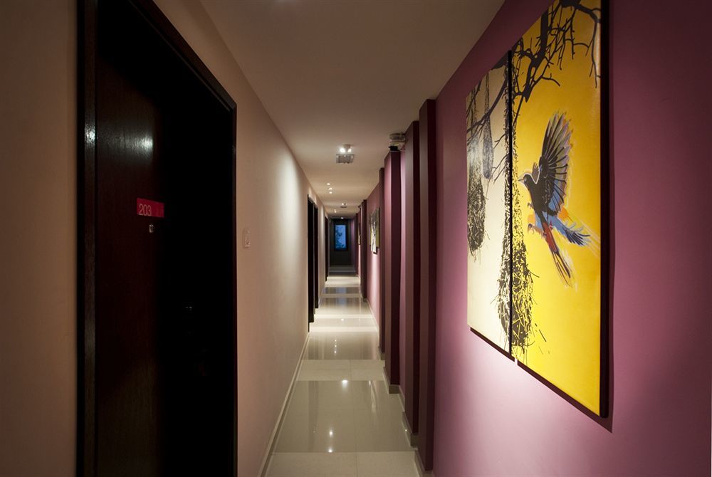 Nest Boutique Hotel *