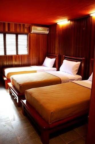 Hostel Rainforest