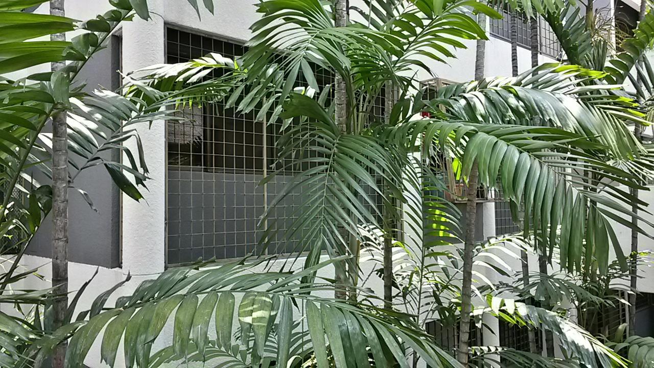 The Garden At Bangsar *