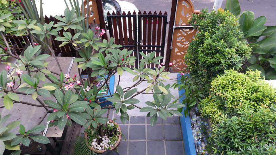 Bed & Breakfast Travellers Palm *