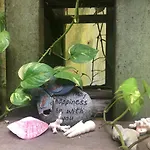 Maro House