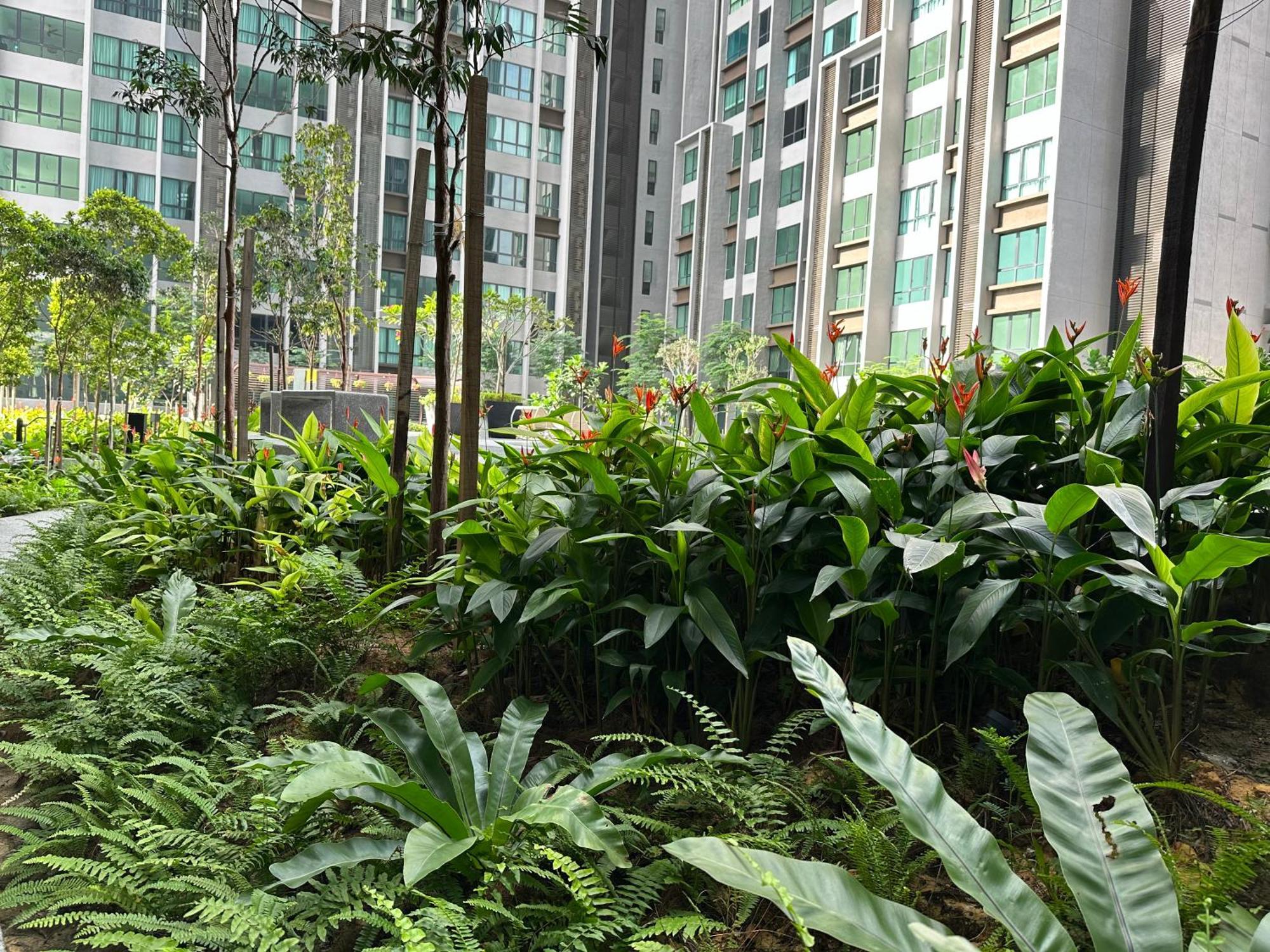 Kl Pantai Bangsar South 3br 6-11 Pax Next To Npe Apartment *