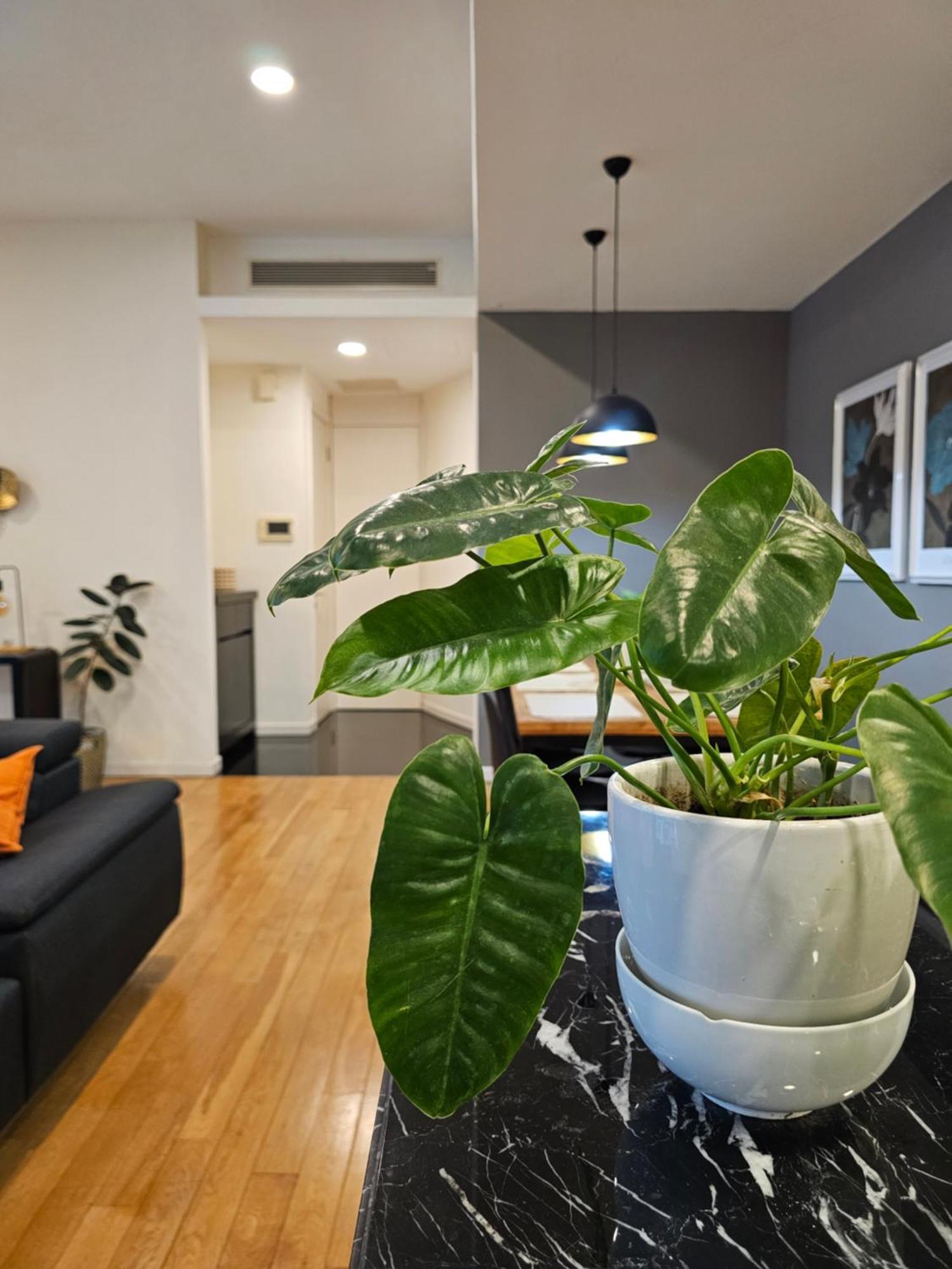 Cosy At St Mary Kl Centre Apartment
