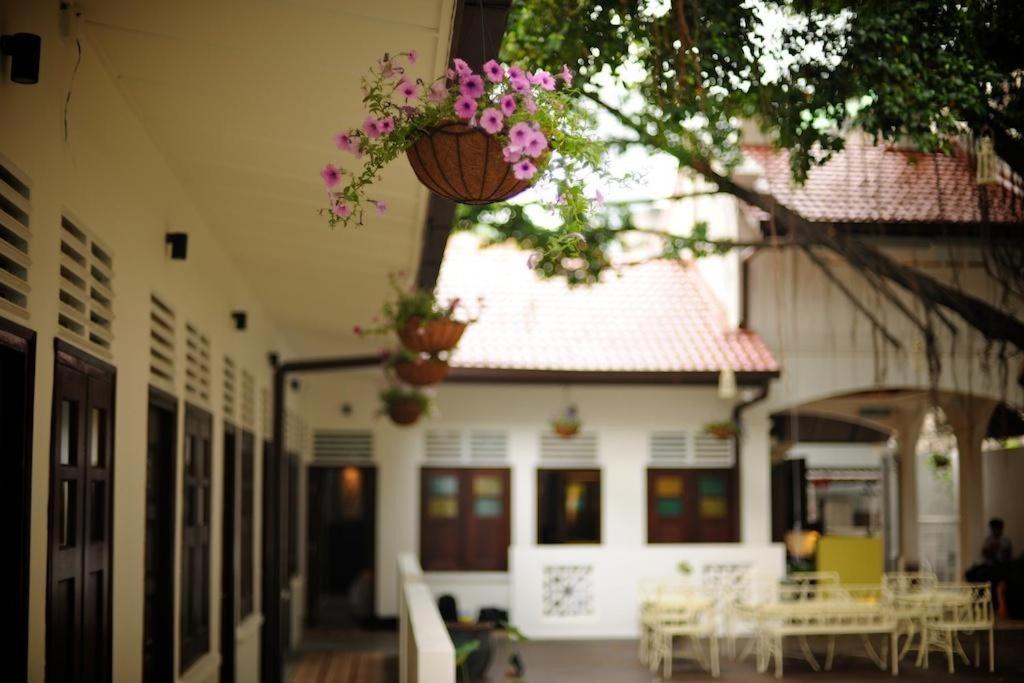 The Big Tree Hotel 3*